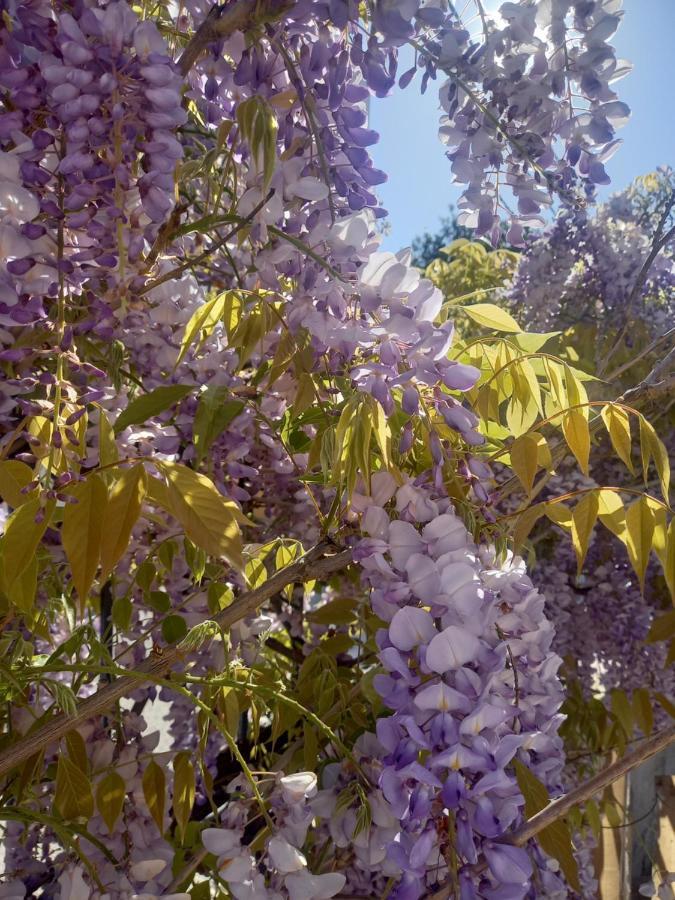 Lilac House Corfu  Exterior foto